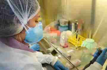  USP: pesquisa de vacina contra zika avança em testes com camundongos 